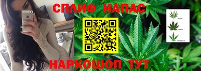 стаф Тверь